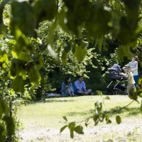 jarmark2017_55